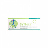 Synart, 60mg/4ml hyaluronzuur injecteerbare oplossing voor infiltratie, 1 voorgevulde spuit, Pharma Labs