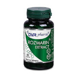 Rozemarijnextract, 60 cps, Dvr Pharm