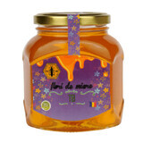 Miel de tilleul, 500 g, Institut de l'apiculture