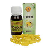 Propolis, 30 capsules, Bee Institute