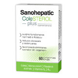 Sanohepatic COLESTEROL Plus, 60 filmomhulde tabletten, Zdrovit