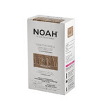 Natuurlijke haarkleur, Licht Blond (8.0) x 140ml, Noah