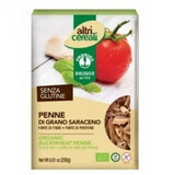 Pâtes penne eco de sarrasin sans gluten, 250 g, Probios