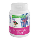 Harpagophytum, 500 mg, 60 capsules, Bio-Synergie