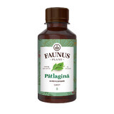 Patlaginesiroop, 200 ml, Faunus Plant