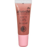 Alverde Naturkosmetik Lucidalabbra succoso rosa canina, 8 ml