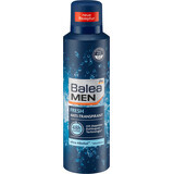 Balea MEN Deodorant spray fresh, 200 ml