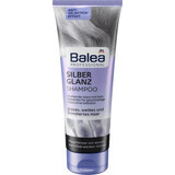 Balea Professional Shampoo voor grijs haar, 250 ml