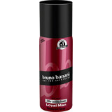 Bruno banani Deodorant Spray für Männer Loyal Man, 150 ml