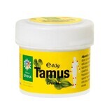 Tamus Crème, 40 g, Divine Star