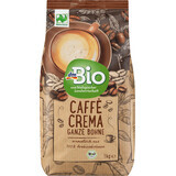 DmBio Koffie roombonen, 1 kg