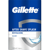 Gillette Aftershave Spatel, 100 ml