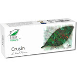 Cruisine, 30 capsules, Pro Natura