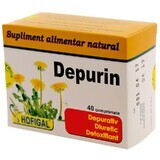 Depurin, 40 comprimate, Hofigal