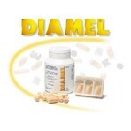 Diamel, 90 capsules, Catalysis
