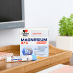 Liquid Magnesium System, 375 mg, 30 Fläschchen, Doppelherz (vegan)