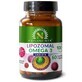 Lipozomal Vegan Omega 3, 60 capsules, Hypernatura