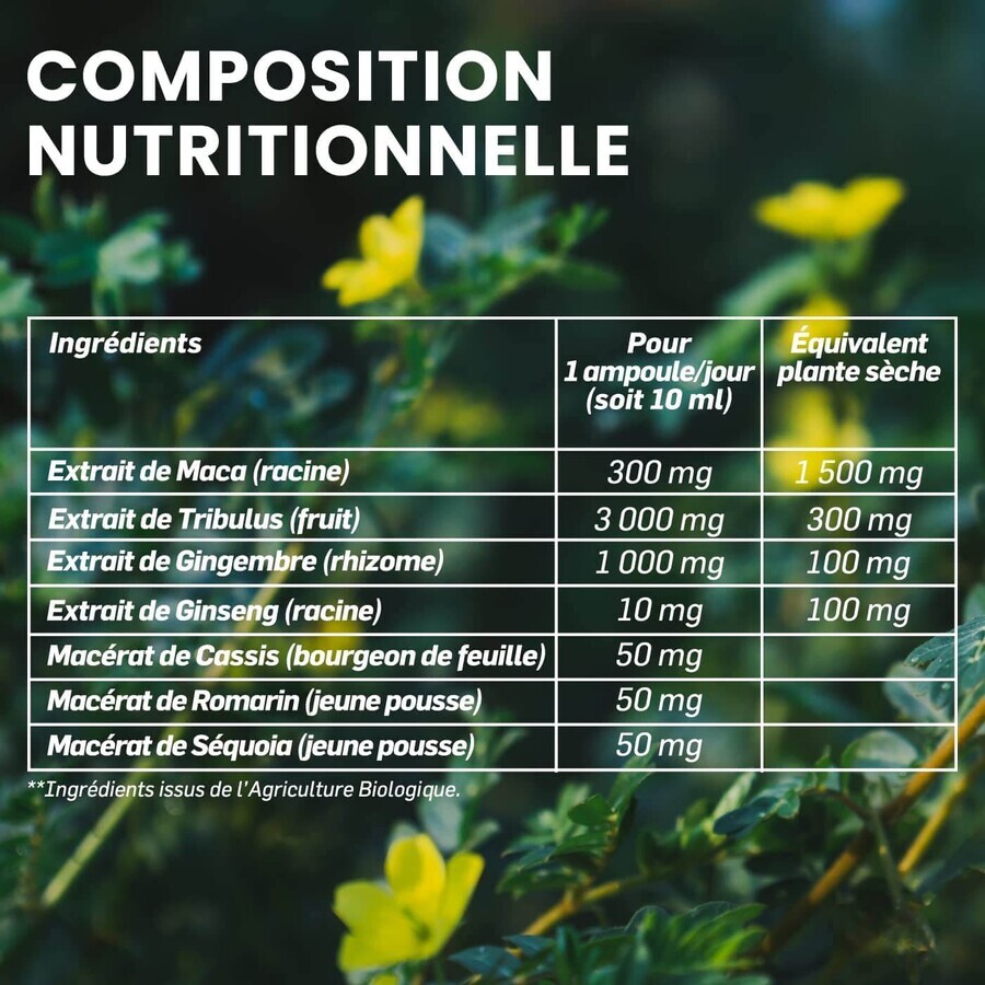 Maca 1500 Tribulus, 20 flesjes, Santarome