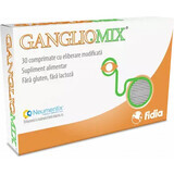 GanglioMix, 30 comprimés, Fidia