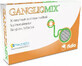 GanglioMix, 30 tabletten, Fidia