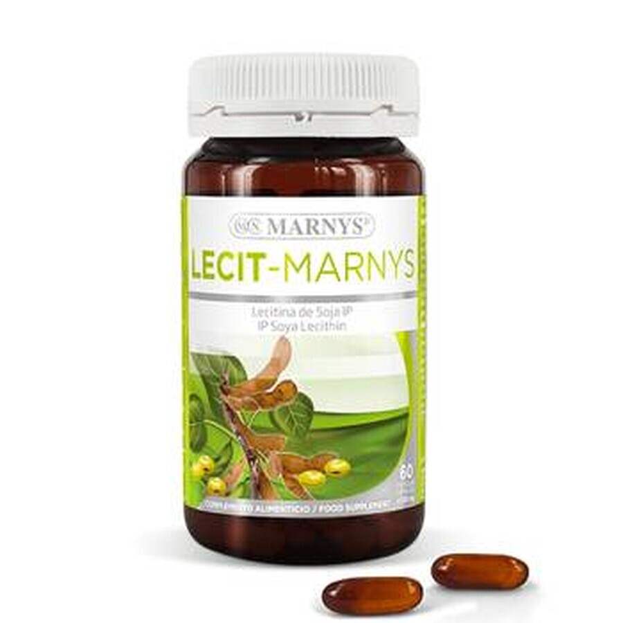 Soy Lecithin 1200mg, 60 capsules, Marnys