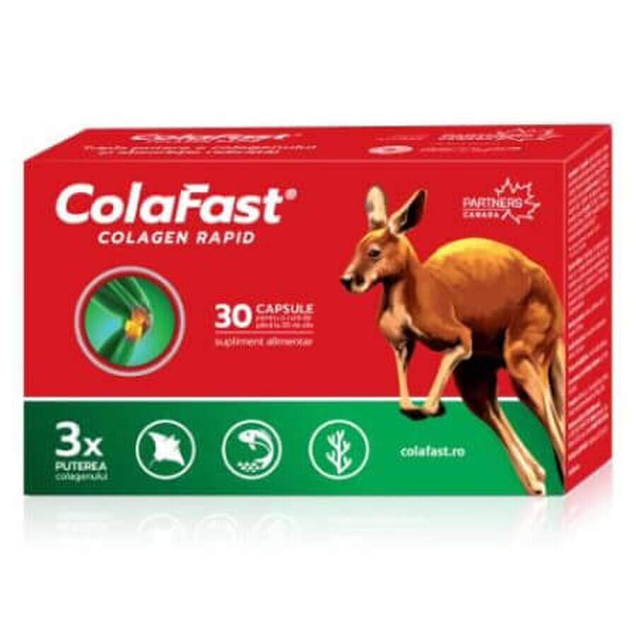 Celadrin Extract Forte 60 capsule + ColaFast Collagen Rapid 30 capsule - regalo, Barnys