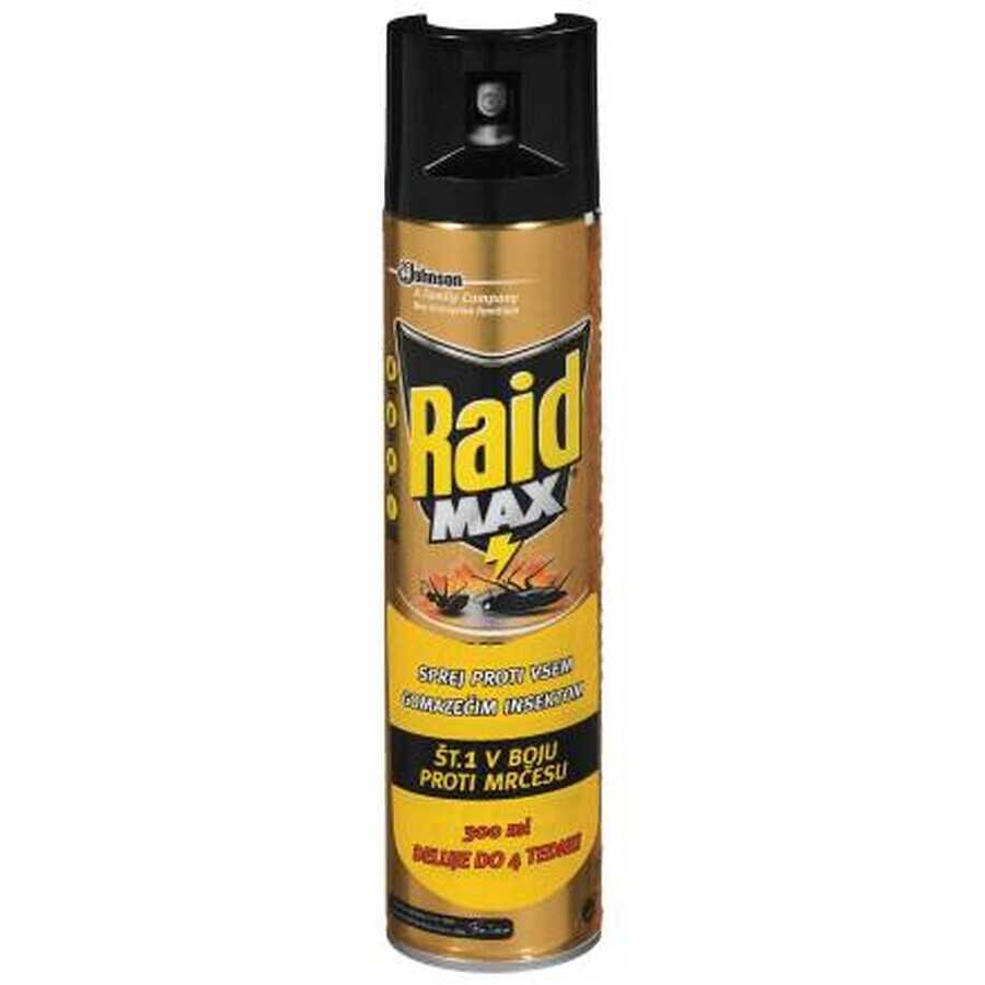 Raid Kakkerlak Spray, 300 ml