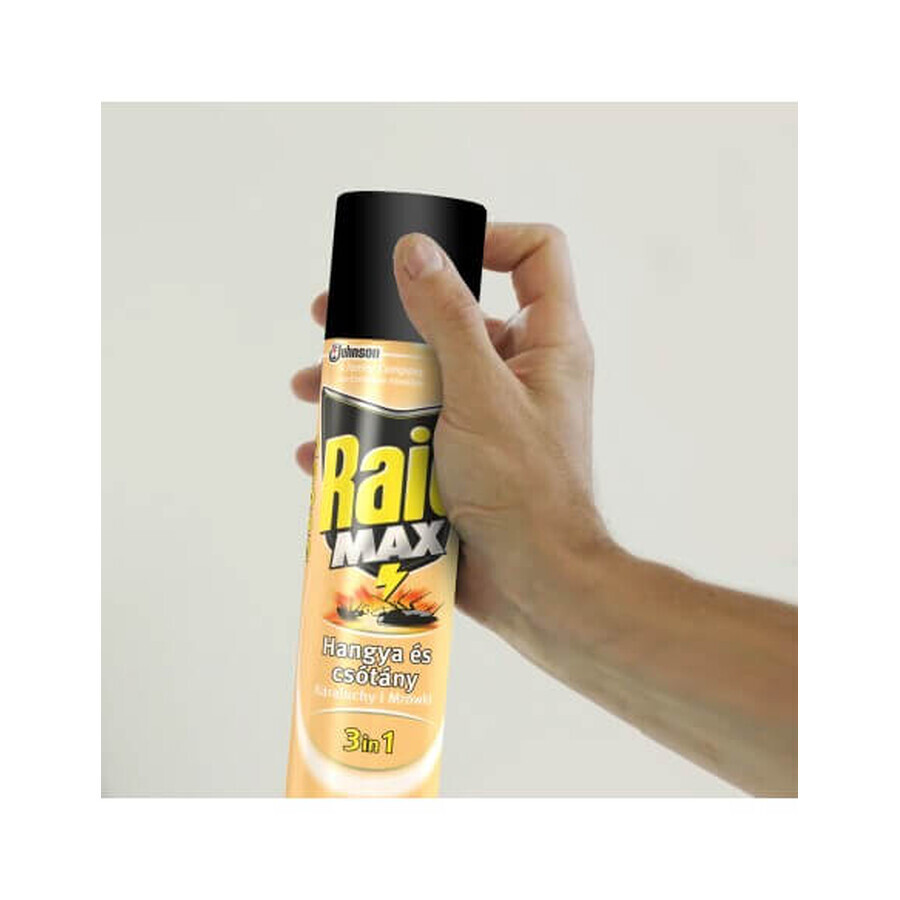 Raid Cockroach Spray, 300 ml