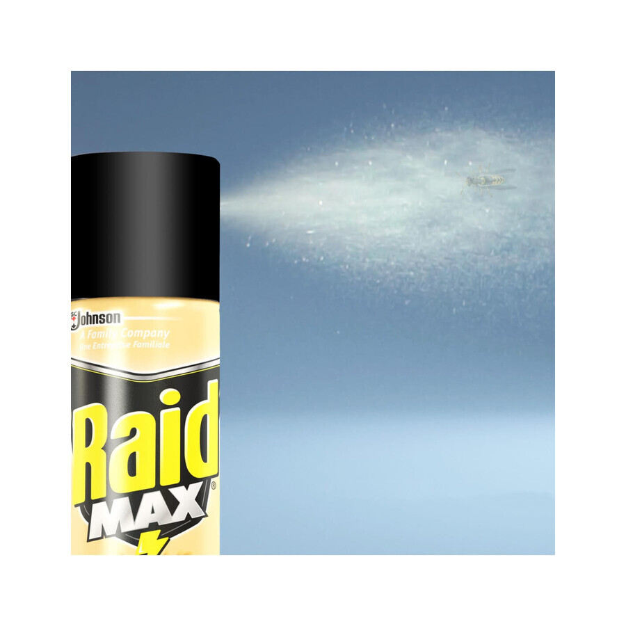 Raid Cockroach Spray, 300 ml