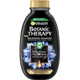 Garnier Botanic Therapy Shampoo Magnetische Houtskool &amp; zwarte zaadolie, 250 ml
