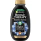 Garnier Botanic Therapy Shampoo Magnetische Houtskool &amp; zwarte zaadolie, 400 ml