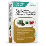 Salix-extract met meidoorn en ganzenvoet, 30 capsules, Rotta Natura