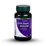 DVR-Stem Articular, 60 capsules, Dvr Pharm