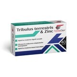 Tribulus Terrestris Zink, 40 capsules, FarmaClass