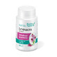 Echinacea-extract, 30 capsules, Rotta Natura