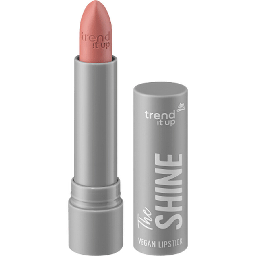 Trend !t up The Shine Lipstick Nr.250, 3,8 g