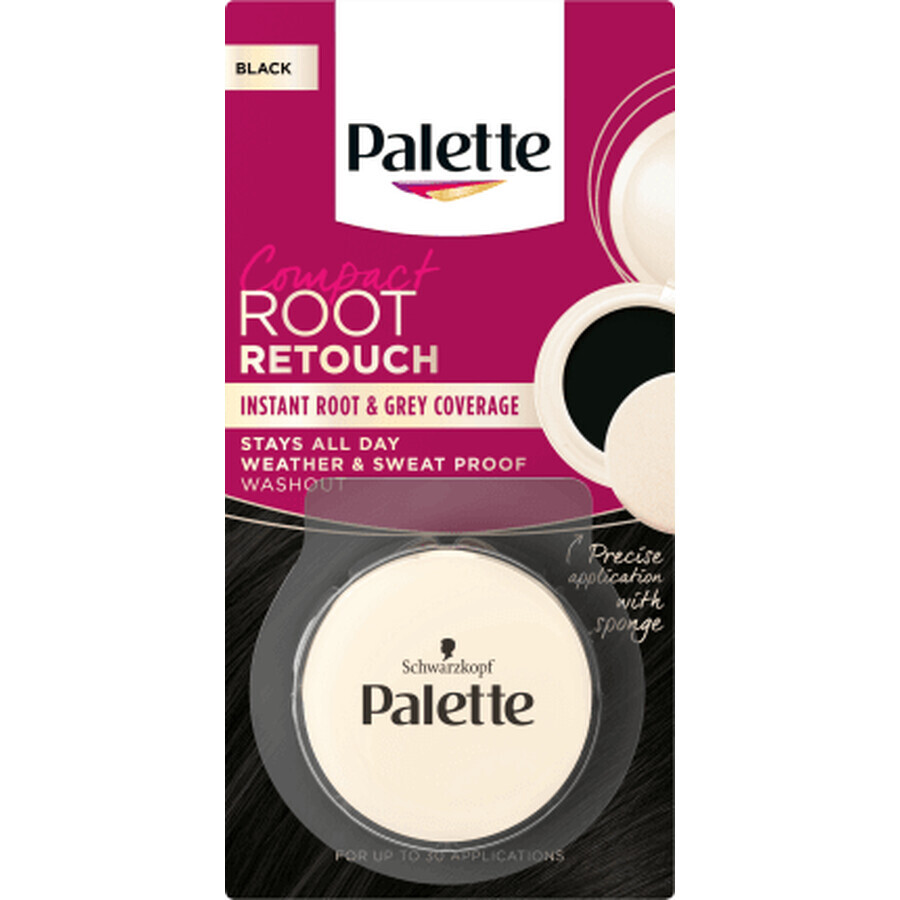 Schwarzkopf Palette Root Retouch corrector voor het bedekken van grijs haar Zwart, 1 st