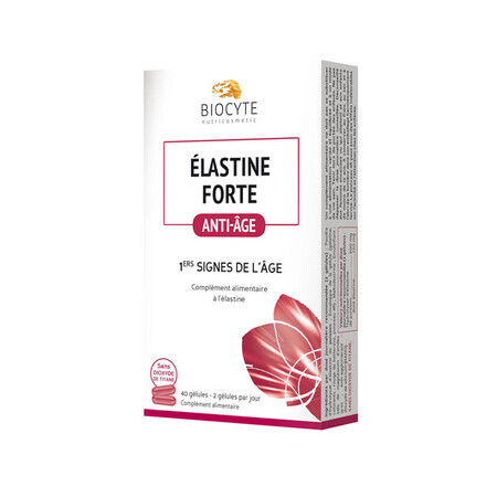 Elastin Forte, 40 gélules, Laboratoire Biocyte