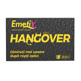 Emetix Hangover, 8 zakjes, Fiterman