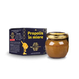 Propolis dans le miel, 120 gr, ApicolScience