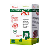 Enterolactis Plus, 30 capsule, Integratore Probiotico, Sofar