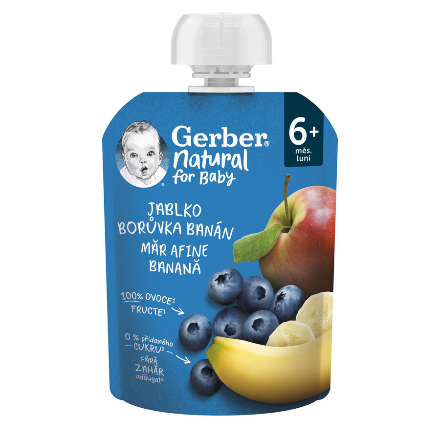 Apfel-, Heidelbeer- und Bananenpüree, +6 Monate, 90 gr, Gerber