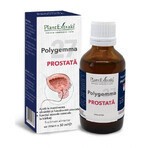 Polygemma 27 Prostaat, 50ml, Plantenextrakt