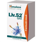 Liv 52 GNX, 60 tabletten, Himalaya