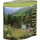 Zomerthee Groene Thee, 100 g, Basilur