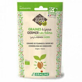 Semi di Florea Soarelui per germinare Bio, 100 g, Germline