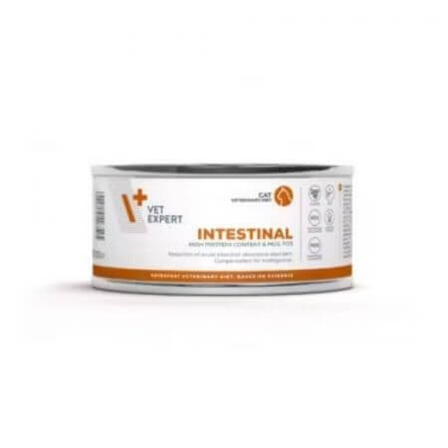 Croquettes Intestinal Cat, 100 g, Vetexpert