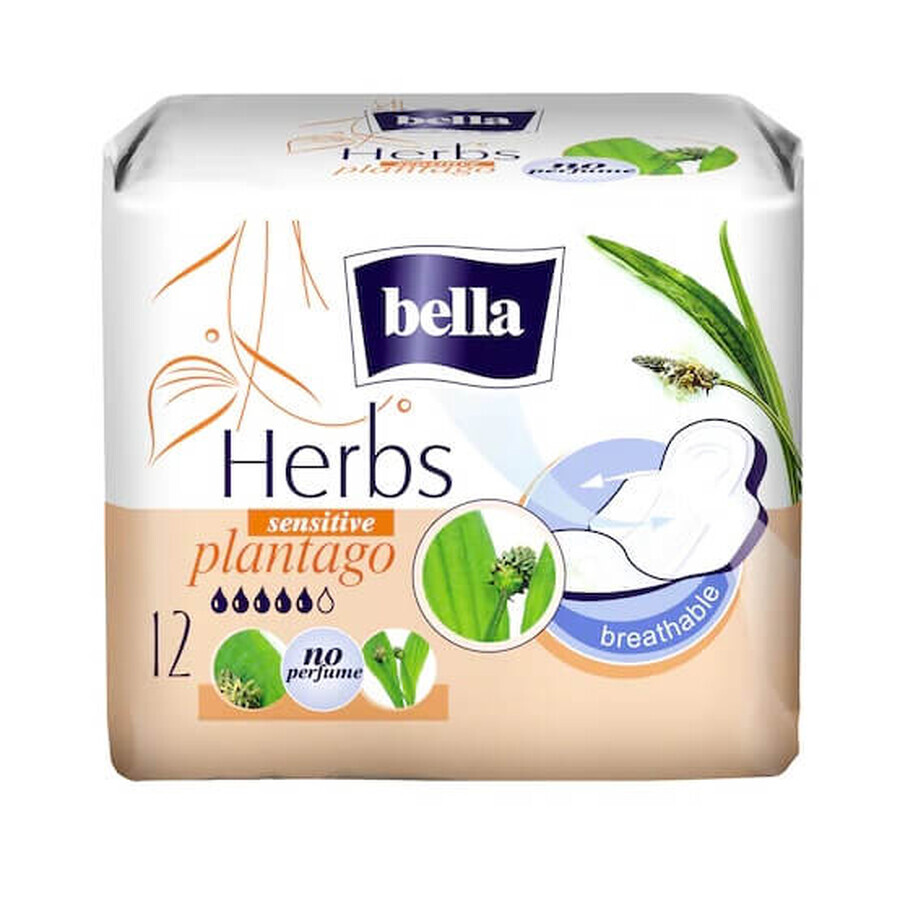 Absorbants Herbes Sensibles Patlagina, 12 pièces, Bella