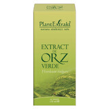 Grüner Gerstenextrakt, 120 ml, Pflanzenextrakt