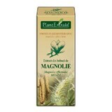 Estratto di germogli di magnolia, 50 ml, Plant Extrakt